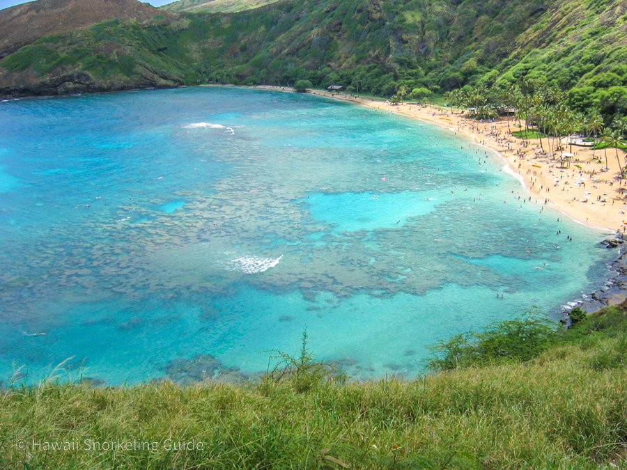How to get to oahu from maui