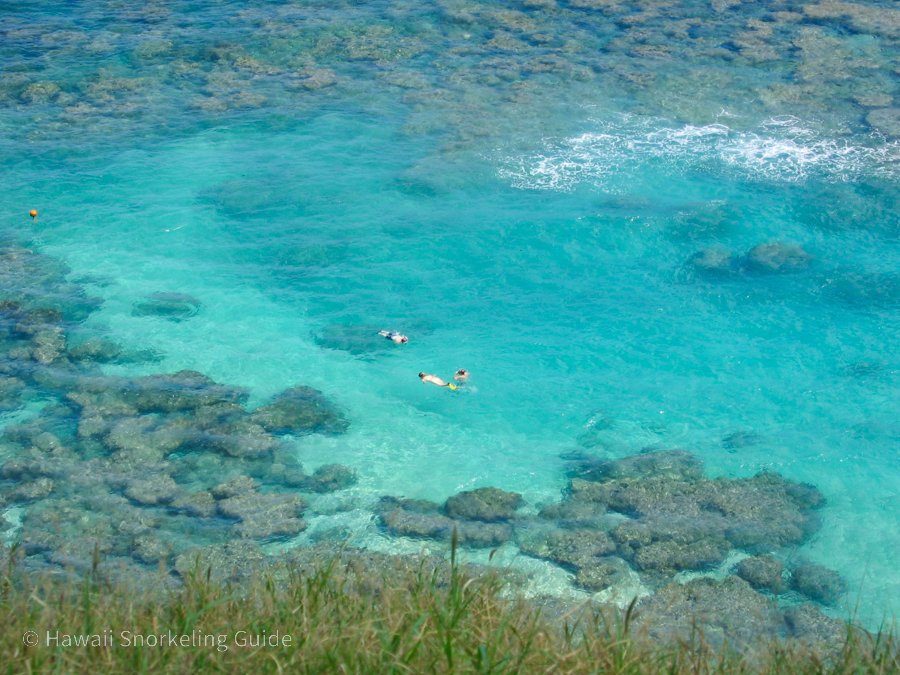 snorkelers at hanauma bay