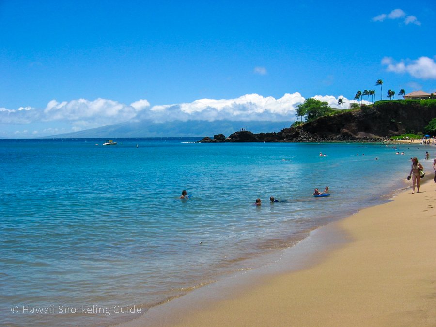 Maui Snorkeling Secrets The Complete Guide To Snorkeling In Maui